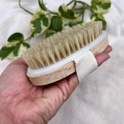 Natural Bristle Dry Brush - Ayurvedic Skin Massage Tool