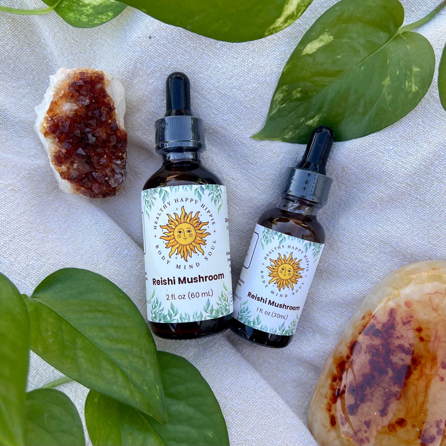 Reishi Mushroom | Tincture