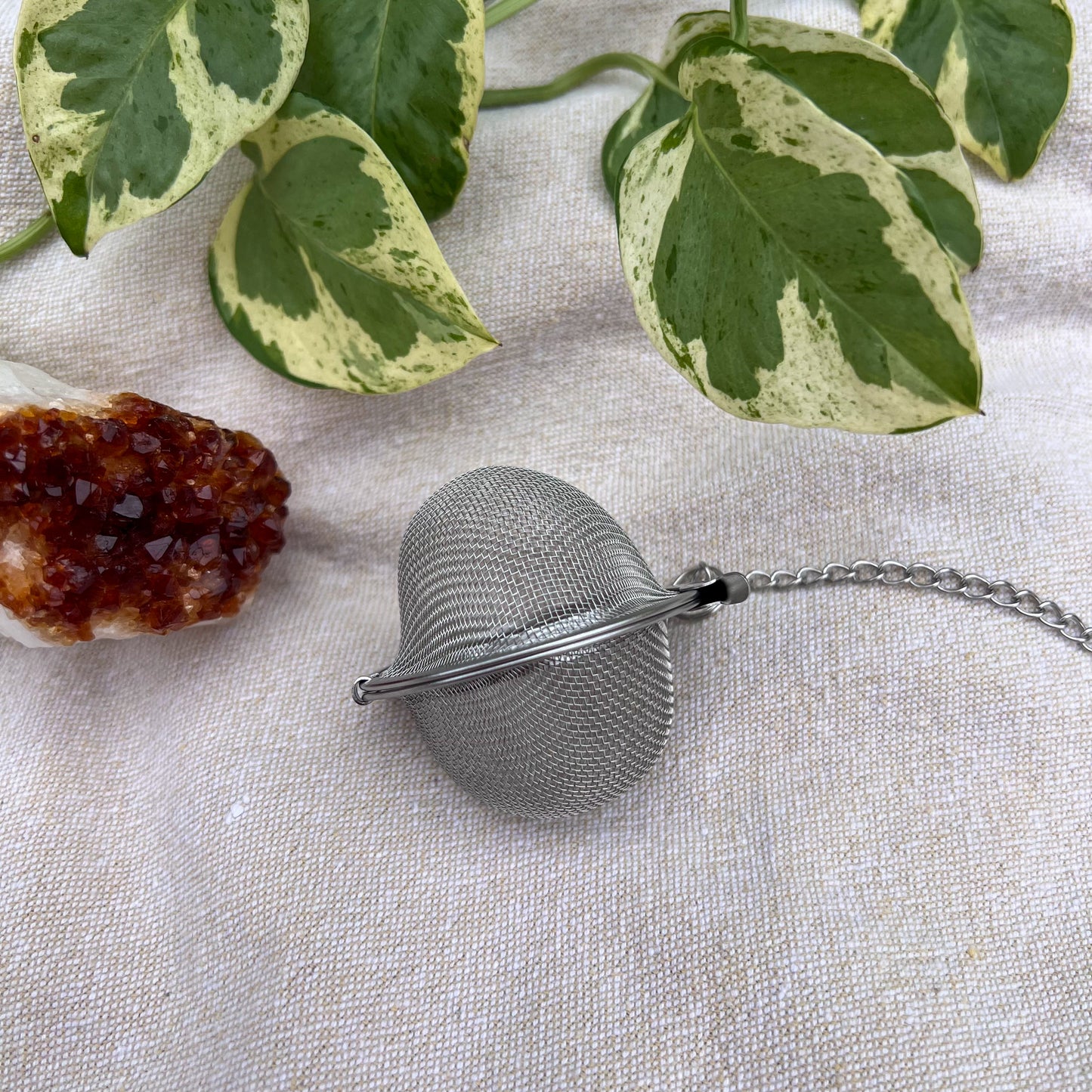 Round Loose Leaf Tea Strainer