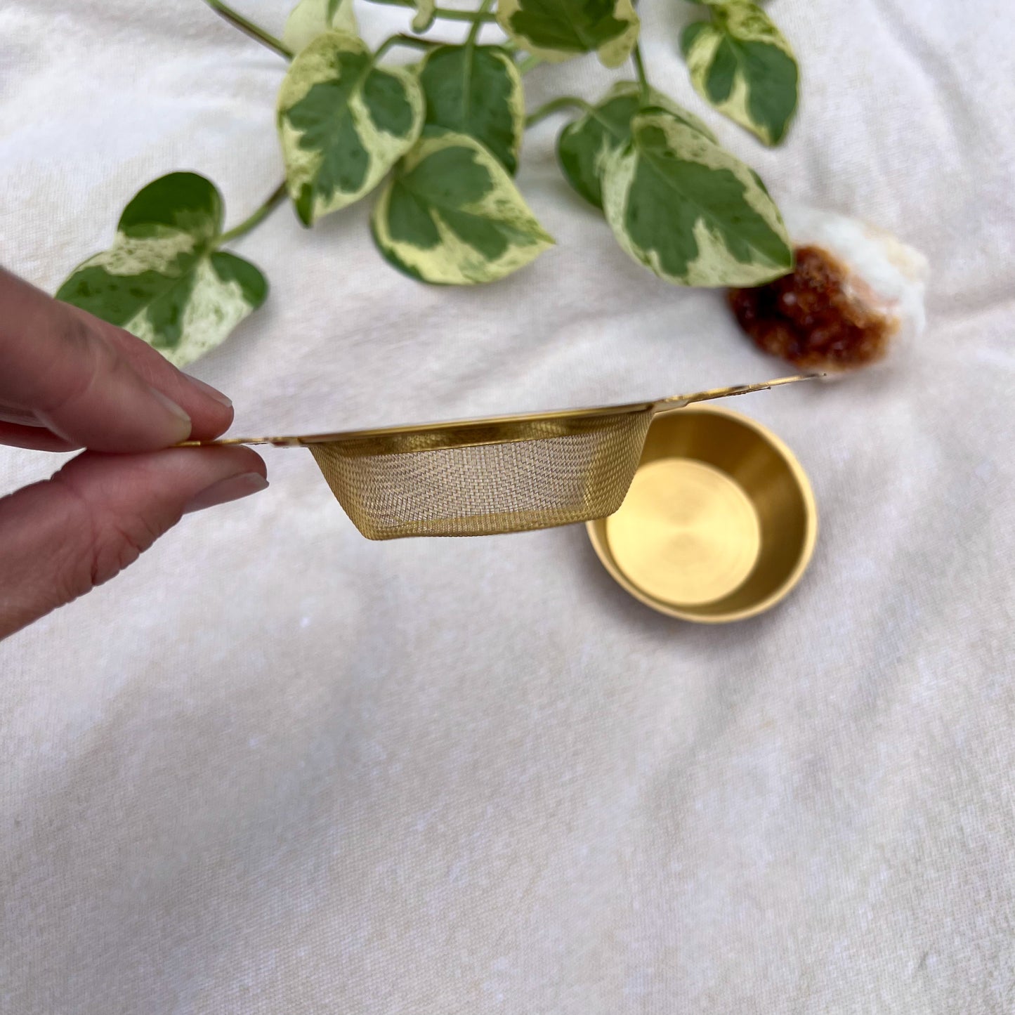 Loose Leaf Tea Strainer - Gold