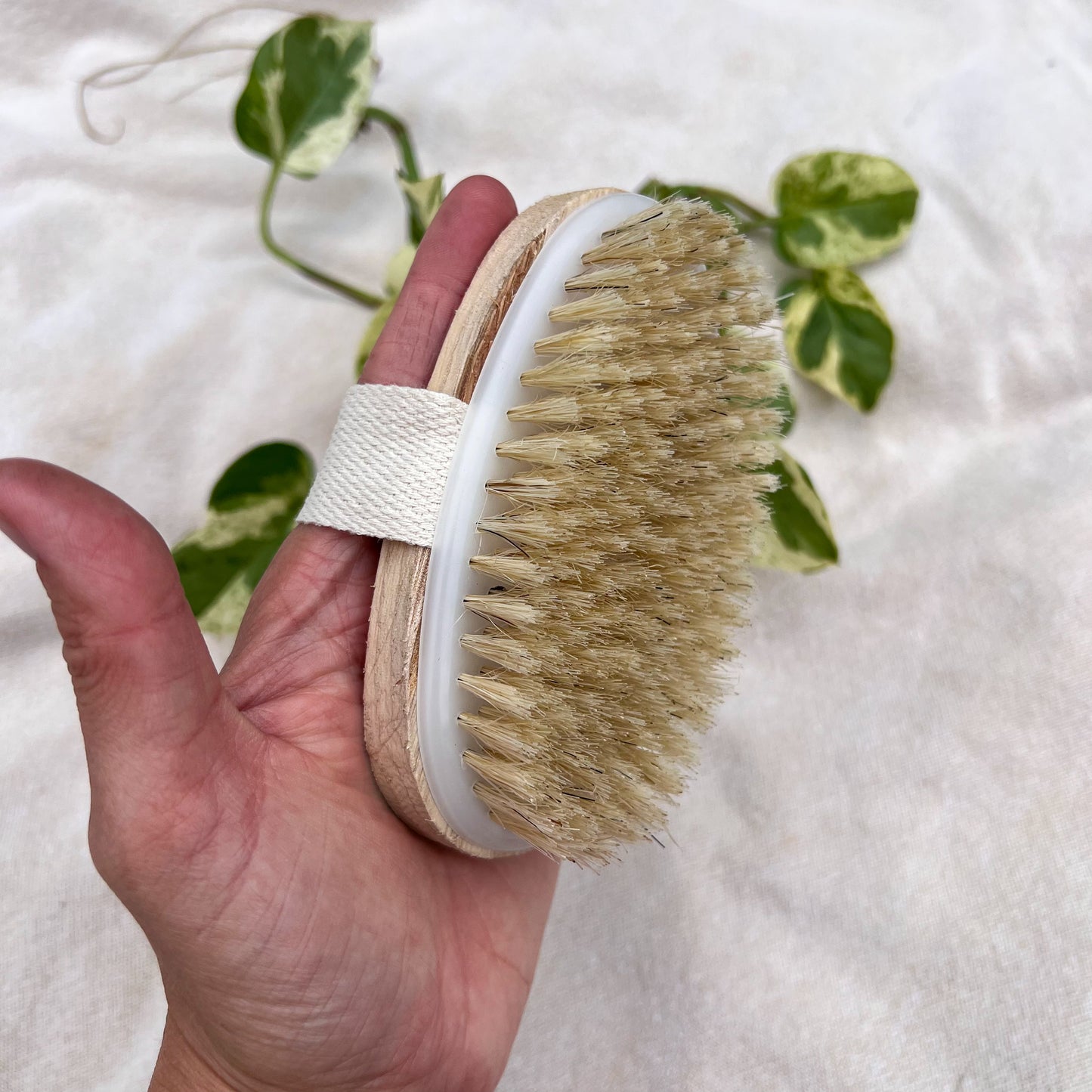 Natural Bristle Dry Brush - Ayurvedic Skin Massage Tool