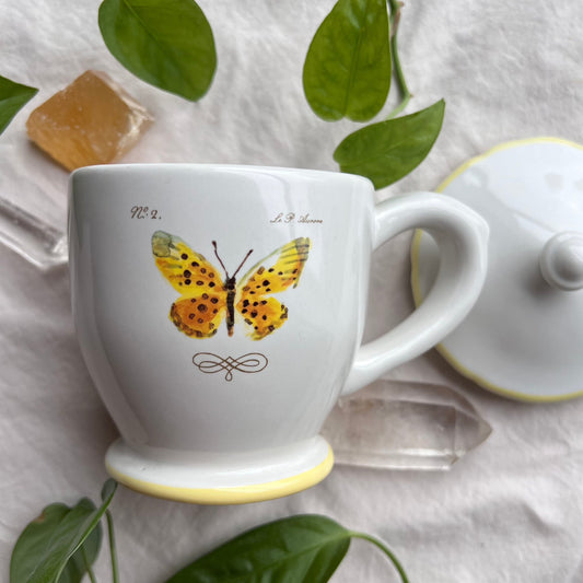 Vintage Butterfly Mug With Lid