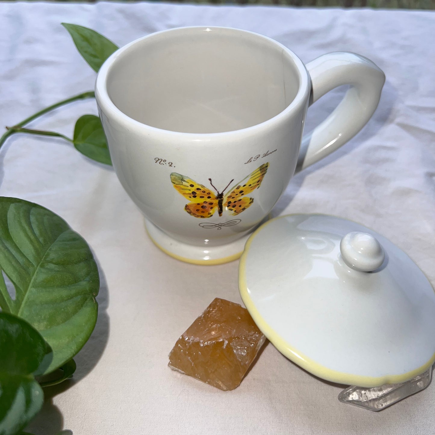 Vintage Butterfly Mug With Lid